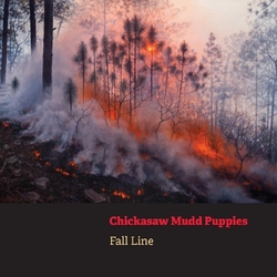 Chickasaw Mudd Puppies Fall Line ORANGE VINYL LP + BOOKLET