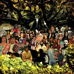 Devendra Banhart Cripple Crow 20TH ANNIVERSARY DELUXE EDITION LIMITED TRIFOLD BLACK & GREEN SMOKEY 3LP + POSTER