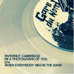 Papernut Cambridge I'M A Photograph Of You HAND-NUMBERED CLEAR VINYL 7INCH LIMITED TO 100 COPIES