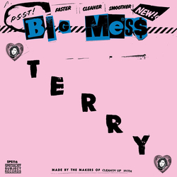 Big Mess Terry VINYL 7INCH