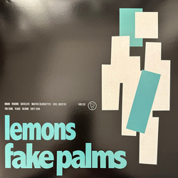 Fake Palms Lemons TRANSLUCENT BLUE & BLACK VINYL LP