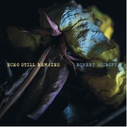 Robert Ascroft Echo Still Remains 'CUSTARD' YELLOW VINYL LP