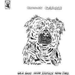 Common Grackle Old Dog New Tricks Who This VINYL LP