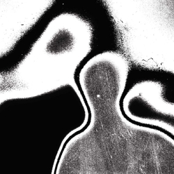 Lunacy Universal Pressure Ep VINYL 12INCH
