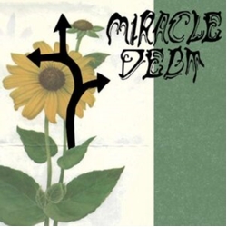 Miracle Debt Under The Shadow VINYL LP + INSERT