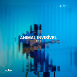 Animal Invisivel Animal Invisivel VINYL LP