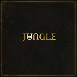 Jungle Jungle VINYL LP
