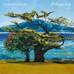 Chaos In The Cbd A Deeper Life VINYL 2LP