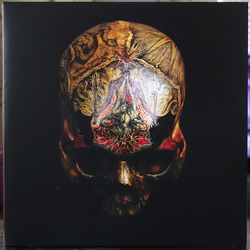 Blight Temple Of Wounds LIMITED RED VINYL 2LP
