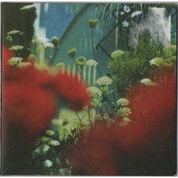 Pulled Apart By Horses The Haze VINYL LP