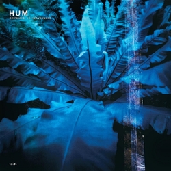 Hum Downward Is Heavenward REISSUE VINYL 2LP
