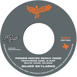 Silver Skylarks Power Moves VINYL 7INCH