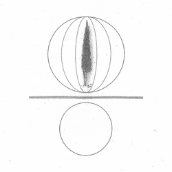 Stephen O'Malley Spheres Collapser VINYL LP