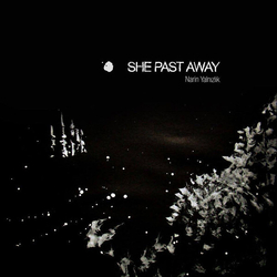 She Past Away Narin Yalnizlik VINYL LP