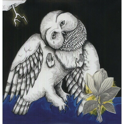 Songs: Ohia Magnolia Electric Co 10TH ANNIVERSARY DELUXE EDITION VINYL 2LP