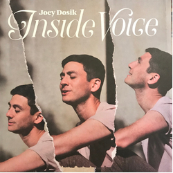 Joey Dosik Inside Voice LIMITED WHITE MARBLED VINYL LP