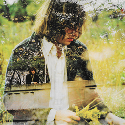 Ryley Walker Primrose Green VINYL LP + MP3 DOWNLOAD CODE
