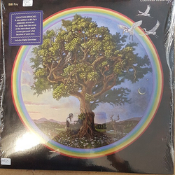 Bill Fay Countless Branches VINYL LP + MP3 DOWNLOAD CODE