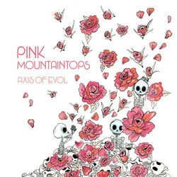 Pink Mountaintops Axis Of Evol VINYL LP + BOOKLET + MP3 DOWNLOAD CODE