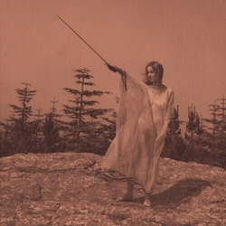 Unknown Mortal Orchestra Ii VINYL LP + MP3 DOWNLOAD CODE