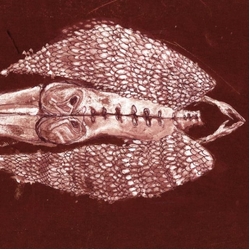 Cerberus Shoal Homb ANNIVERSARY EDITION LIMITED RED VINYL 2LP + MP3 DOWNLOAD CODE