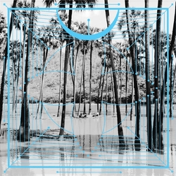 Four Tet Pink HALF-SPEED MASTERED VINYL 2LP + MP3 DOWNLOAD CODE