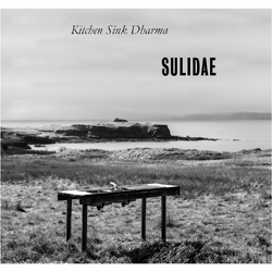 Sulidae Kitchen Sink Dharma ORANGE MARBLED VINYL LP