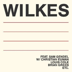 Sam Wilkes Wilkes VINYL LP