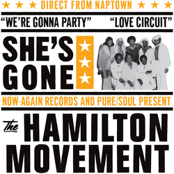 The Hamilton Movement She's Gone: The Complete Works VINYL LP + BOOKLET