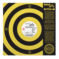 Bumblebee Unlimited Lady Bug VINYL 12INCH WITH OBI-STRIP