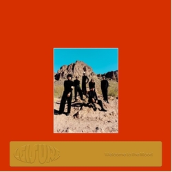 Leisure Welcome To The Mood NEON ORANGE VINYL LP IN EMBOSSED SLEEVE