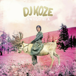 Dj Koze Amygdala VINYL 2LP + 7INCH + MP3 DOWNLOAD CODE