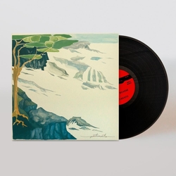 Carson Mchone Pentimento VINYL LP + INSERT