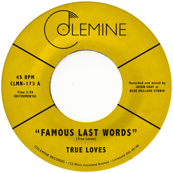 The True Loves Famous Last Words 7INCH