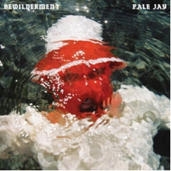 Pale Jay Bewilderment SEAFOAM GREEN VINYL LP