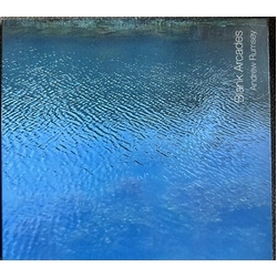 Andrew Rumsey Blank Arcades VINYL LP