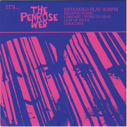 The Penrose Web It's The Penrose Web ECO VINYL 7INCH
