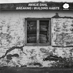 Amalie Dahl Breaking/Building Habits VINYL LP