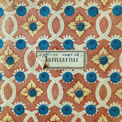 Matty/Mandaworld Warm You VINYL 7INCH