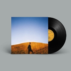 Sam Burton Dear Departed VINYL LP
