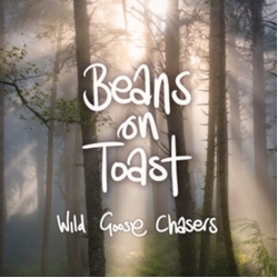 Beans On Toast Wild Goose Chasers PICTURE DISC LP