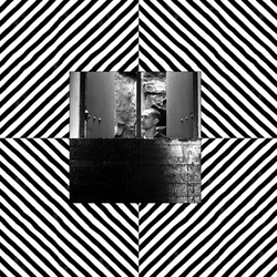 Ben Woods Dispeller LIMITED BLACK & WHITE MARBLED VINYL LP