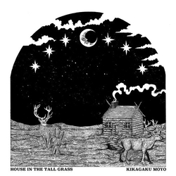 Kikagaku Moyo House In The Tall Grass VINYL LP WITH OBI-STRIP