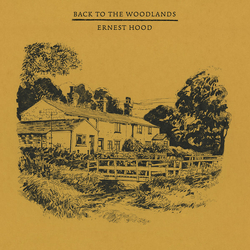 Ernest Hood Back To The Woodlands & Where The Woods Begin LIMITED NOONDAY YELLOW MARBLED VINYL LP + INSERT + MP3 DOWNLOAD CODE