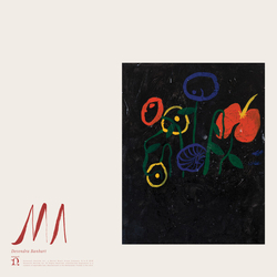 Devendra Banhart Ma LIMITED TRANSPARENT RED VINYL LP + POSTER + BOOKLET