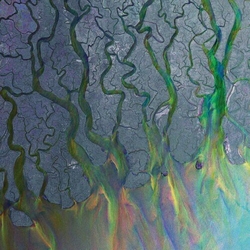 Alt J An Awesome Wave VINYL LP