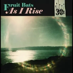 Fruit Bats/Anais Mitchell As I Rise RECORD STORE DAY RSD 2025 LIMITED COKE BOTTLE CLEAR VINYL 7INCH + INSERT
