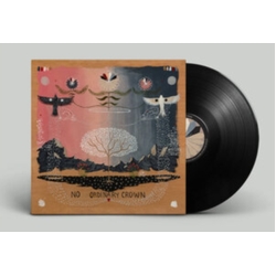 Will Johnson No Ordinary Crown VINYL LP