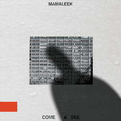 Mamaleek Come & See VINYL LP + INSERT
