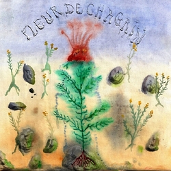 Le Diable Degoutant Fleur De Chagrin VINYL LP